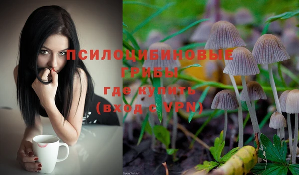 дмт Алексин